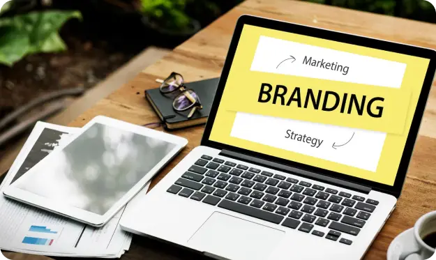 Brand Identity & Visual Systems